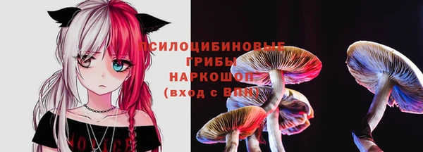 прущие грибы Абаза